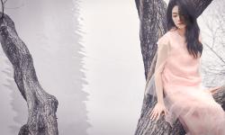 Featured image of post 渗透