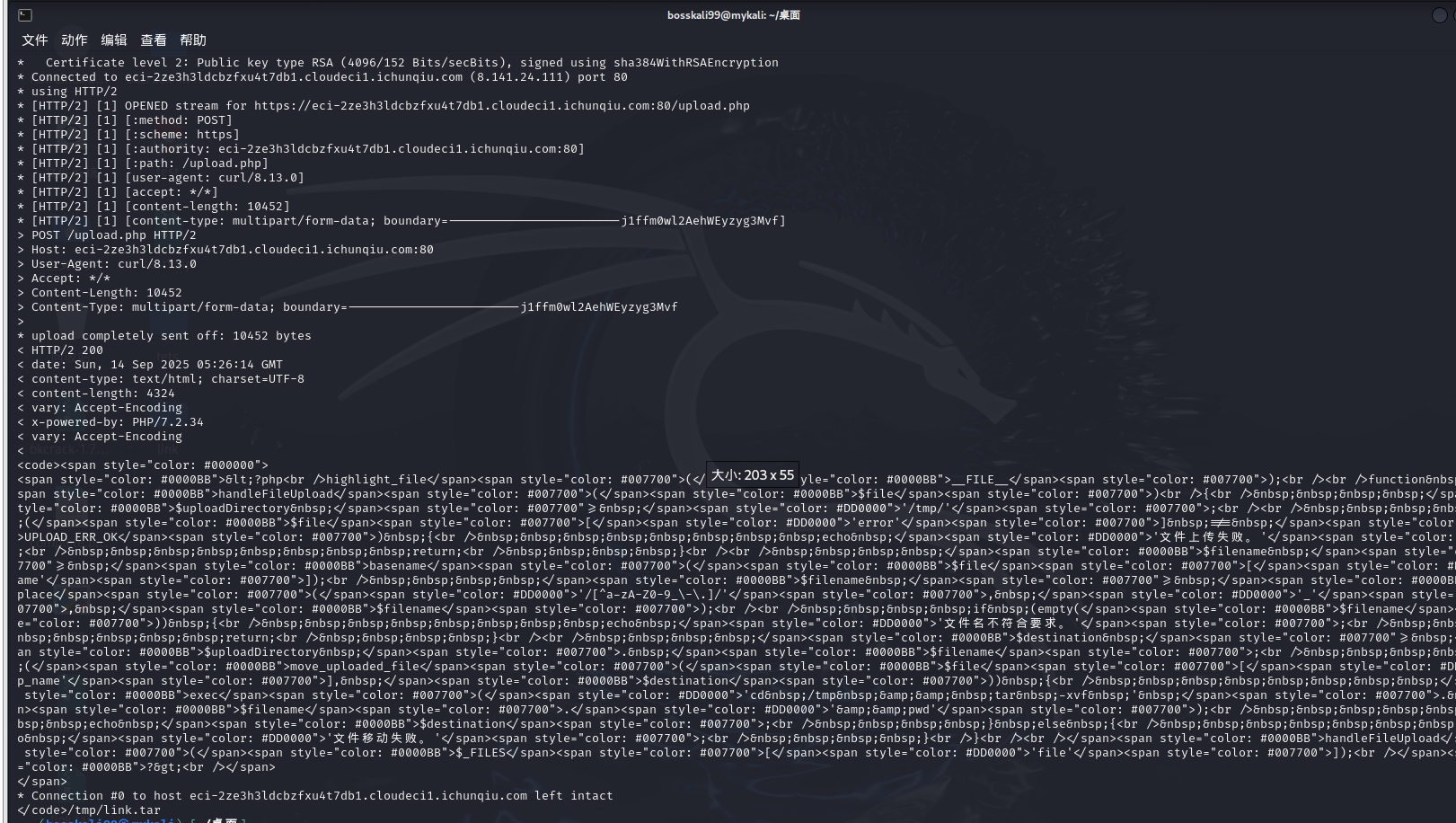 image-20250914132642381