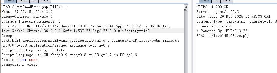 image-20250520224853003