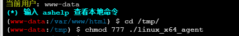 image-20250730210454131