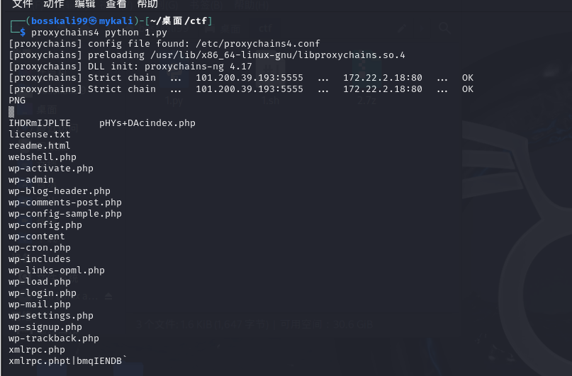 image-20260110232416053