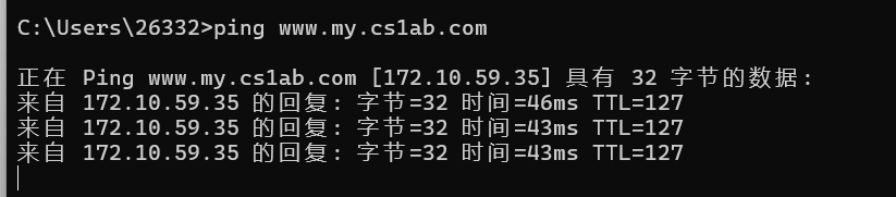 image-20260209101728681