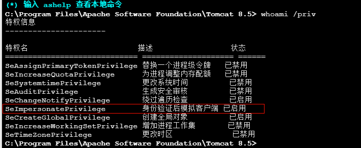 image-20260207201110221